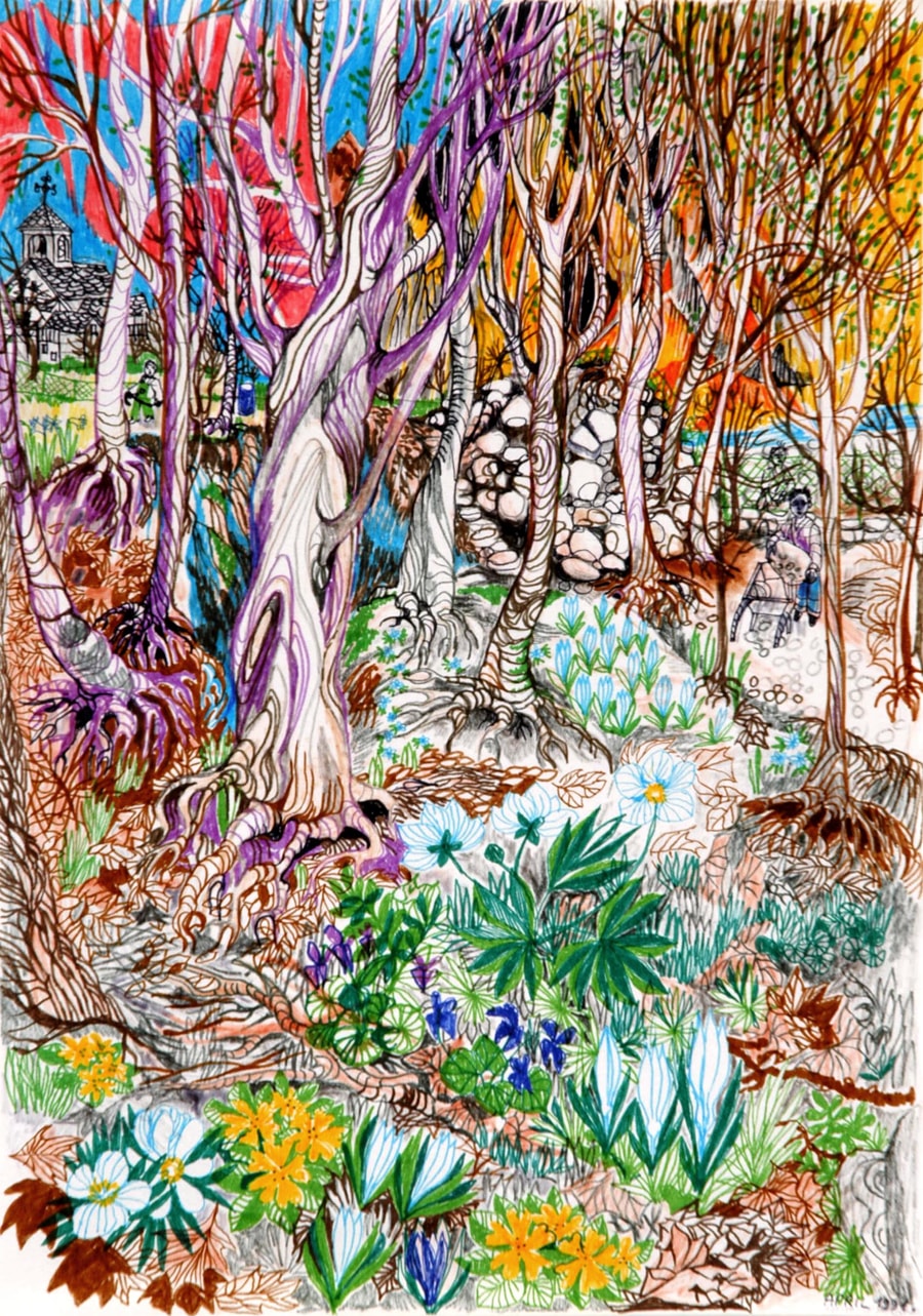 drawing